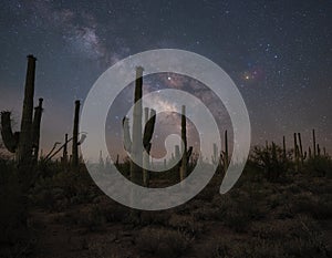 Silhouettes of Saguaro cactus and the Milky Way Galaxy