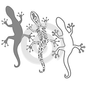 silhouettes of salamander