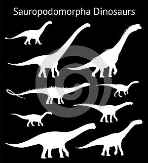 Silhouettes of sauropodomorpha dinosaurs. Set. Side view. Monochrome vector illustration of white silhouettes of photo