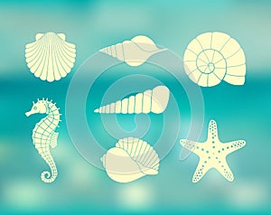 Silhouettes of sea shells, seahorse and starfish on the Colorful background with defocused lights