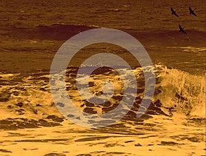 Silhouettes of seabirds flying above rough ocean sea water background. Sepia colour.