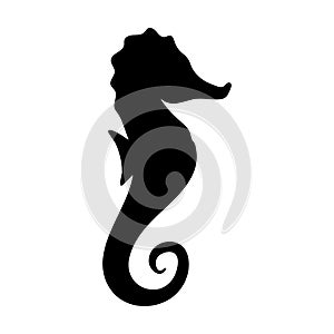 Silhouettes of seahorse black and white vector illustr