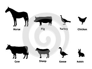 Silhouettes set of livestock