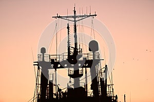 Silhouettes of ships and container cranes in sea port