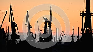 Silhouettes of ships and container cranes in sea port