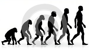 Human evolution from ape to man walking forward