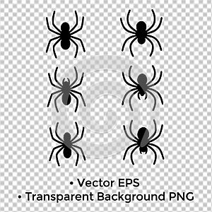 Vector illustration, silhouette of 6 Spiders