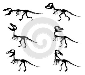 Silhouettes of the skeleton of a Tyrannosaurus rex