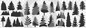 Silhouettes of spruce and pine doodle set