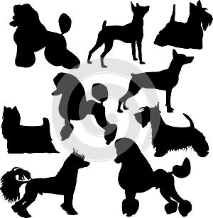 Silhouettes of standing decorative dogs