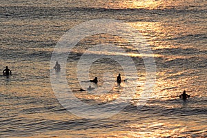 Silhouettes of surfers waiting for a wave near the beach at sunset