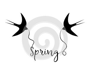 Silhouettes of swallows with the text `Spring`