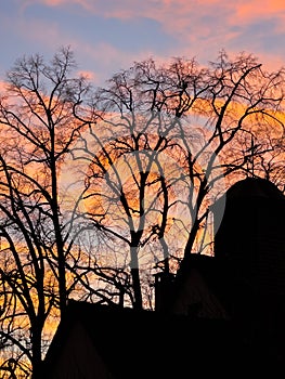 Silhouettes of thees and buildings in sunset photo