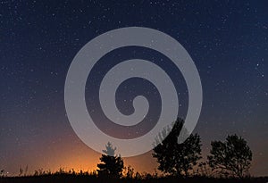 Silhouettes of three trees against the background of the night starry sky and the setting sun