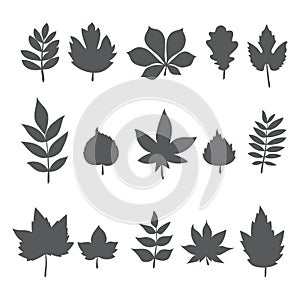 Silhouettes of tree leaves. Autumn leaf collection