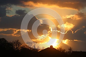 Silhouettes trees, houses golden clouds at sunset