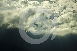 A silhouettes of trees on a mountain in the clouds