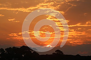 Silhouettes trees with sun setting behind clouds