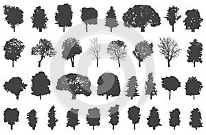 Silhouettes of trees vector set