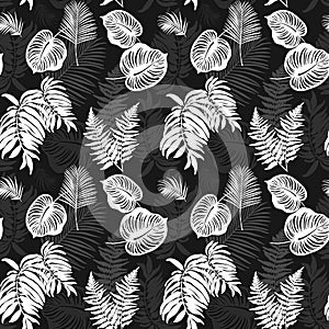 Silhouettes of tropical leaves on a seamless background. Monochrome pattern. White on black