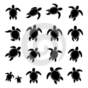 Silhouettes of turtles are arranged in a grid pattern