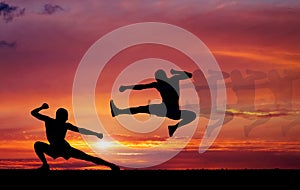 Silhouettes of two fighters