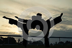 Silhouettes of two fighters with high kick motion