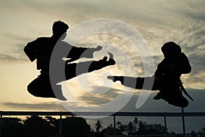 Silhouettes of two fighters with kicks drifting