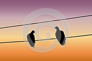 Silhouettes of two pigeons sitting on a wire against the sunset sky