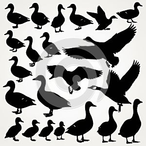 Silhouettes of various ducks and geese