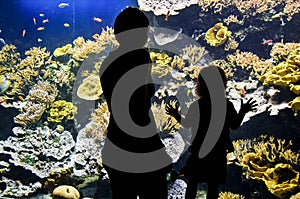 Silhouettes of visitors in aquarium
