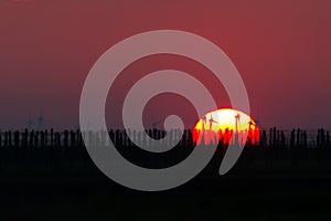 Silhouettes of windmills sunrise with sun, Seewinkel