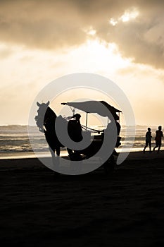 Silhoutte of horse riding on the beach