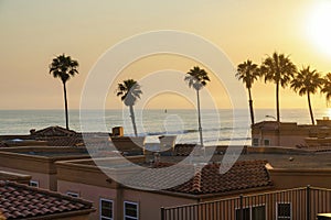 Silhoutte of the palm trees against the sunset at the beach in Oceanside, California