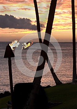 Silhoutte of torch in hawaii photo