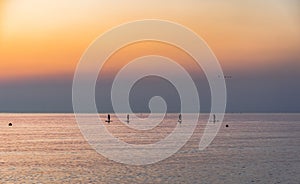 Silhouttes of four stand-up paddler in the sea at sunset