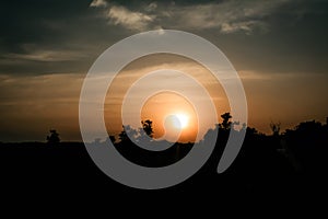 silhuate tree at sunset background nice view