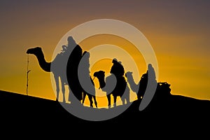 Silhuette of a camel caravan in the desert photo