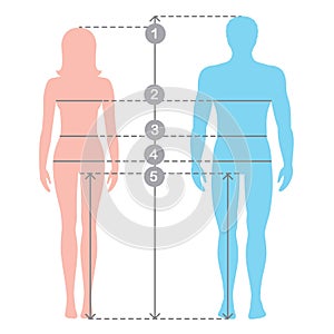 Silhuettes of man and women in full length with measurement lines of body parameters. Human body measurements and proportions. photo