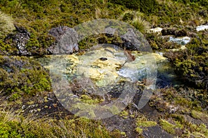 Silica Rapids in Tongariro National Park