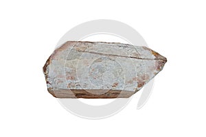 Silicified shale rock stone isolated on white background. photo