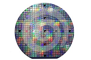 Silicon disk with chips