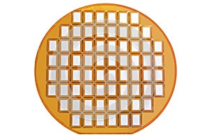 Silicon disk with chips