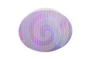 Silicon wafer with chips isolated on white