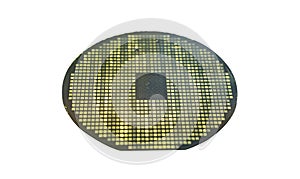 Silicon wafer with chips isolated on white