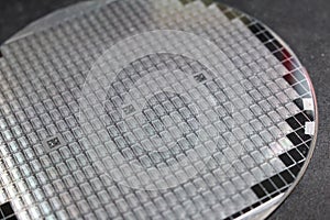 Silicon wafer of CPU microchips photo