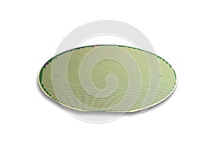 Silicon wafer in green,isolated