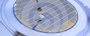 Silicon wafer with microchips fixed in a holder with a steel frame after the dicing process and separate microchips