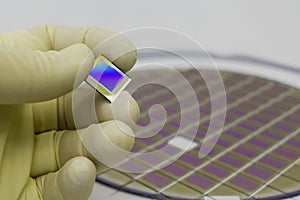 Silicon wafer with microchips, fixed in a holder with a steel frame on a gray background after the process of dicing. Microchip