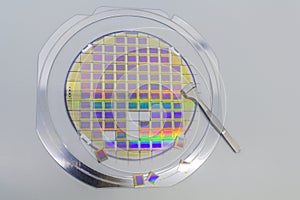 Silicon wafer with microchips, fixed in a holder with a steel frame on a gray background after the process of dicing. Microchip photo